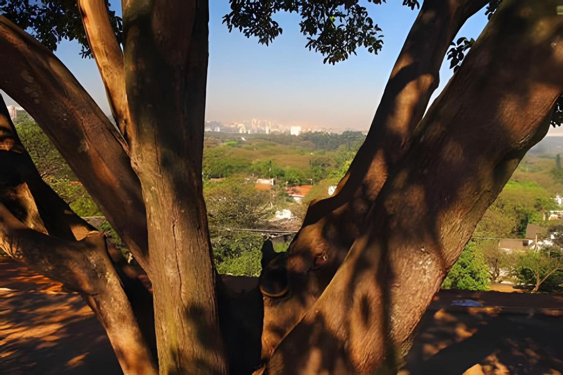 Garden Panoramico Premium