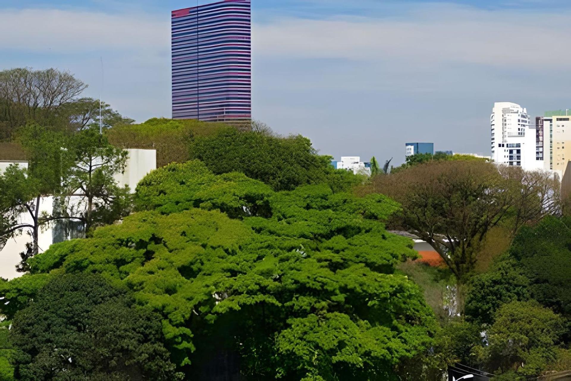 Garden Panoramico Premium *